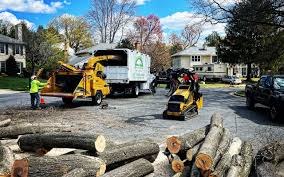 Best Sod Installation  in Emerson, NJ