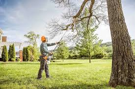 Best Lawn Watering Services  in Emerson, NJ