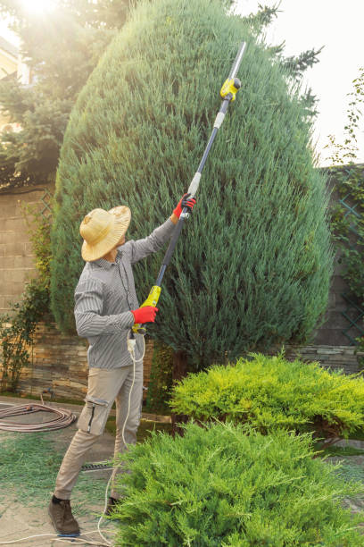 Soil Testing and Treatment in Emerson, NJ